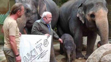 Tierpfleger Zoo Leipzig gestorben