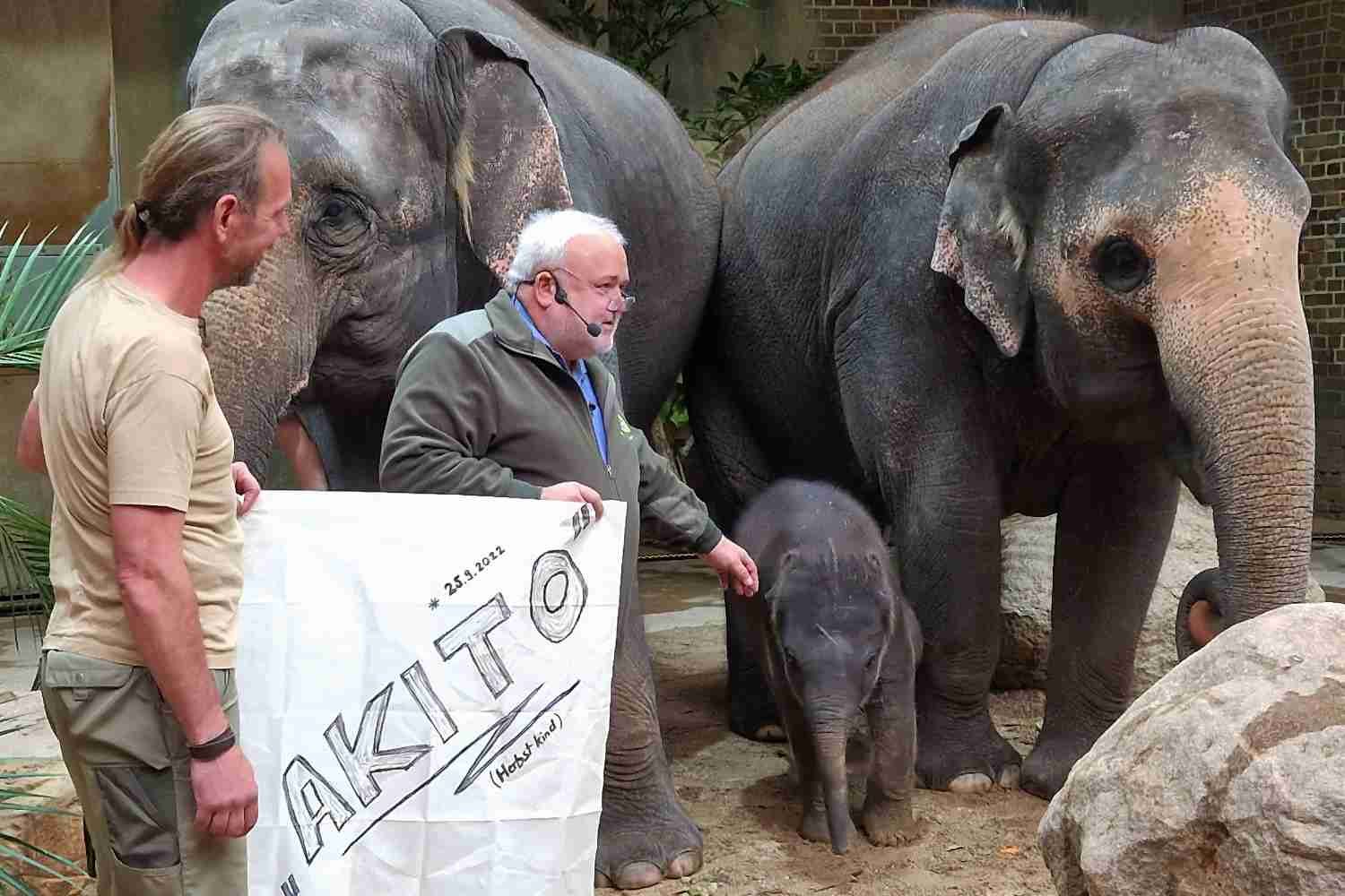 Tierpfleger Zoo Leipzig gestorben
