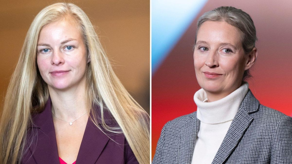 alice weidel ohrprothese