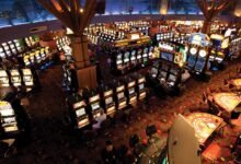 LUGAS-Datenschutz: Wie transparent ist der deutsche Anbieter?