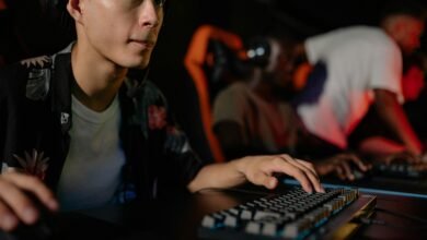 Warum Menschen Risiko suchen: Die Neuropsychologie des Glücksspiels RoyalSea Experten nachfolgend