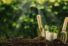 Die Gartentrends, die Sie 2026 kennen sollten, wenn Sie Ihren Außenbereich neu gestalten möchten