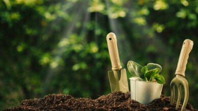 Die Gartentrends, die Sie 2026 kennen sollten, wenn Sie Ihren Außenbereich neu gestalten möchten