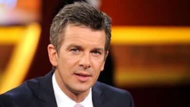 laurin lanz wikipedia