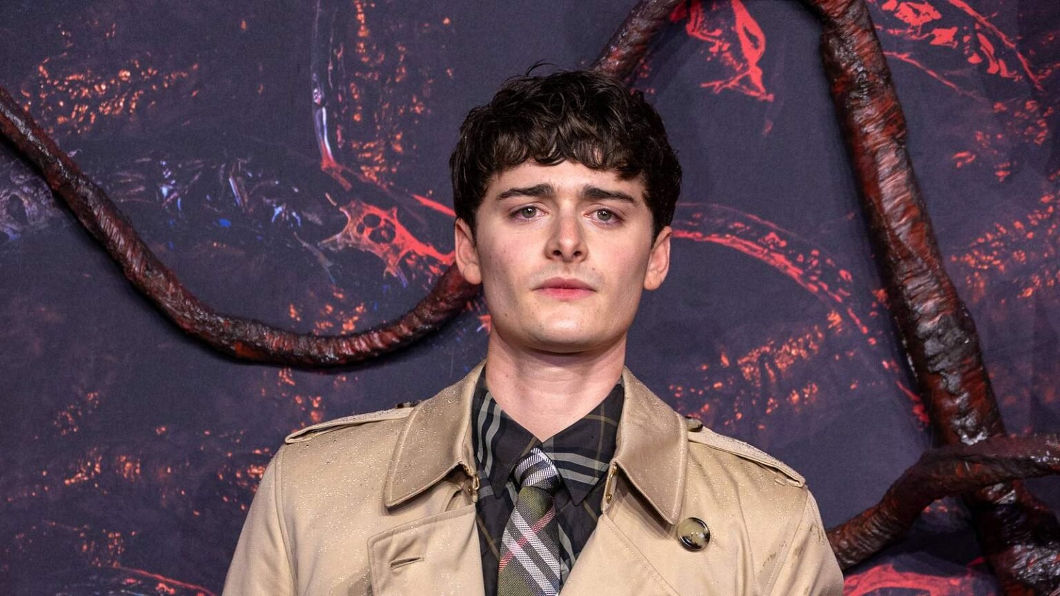noah schnapp schwul